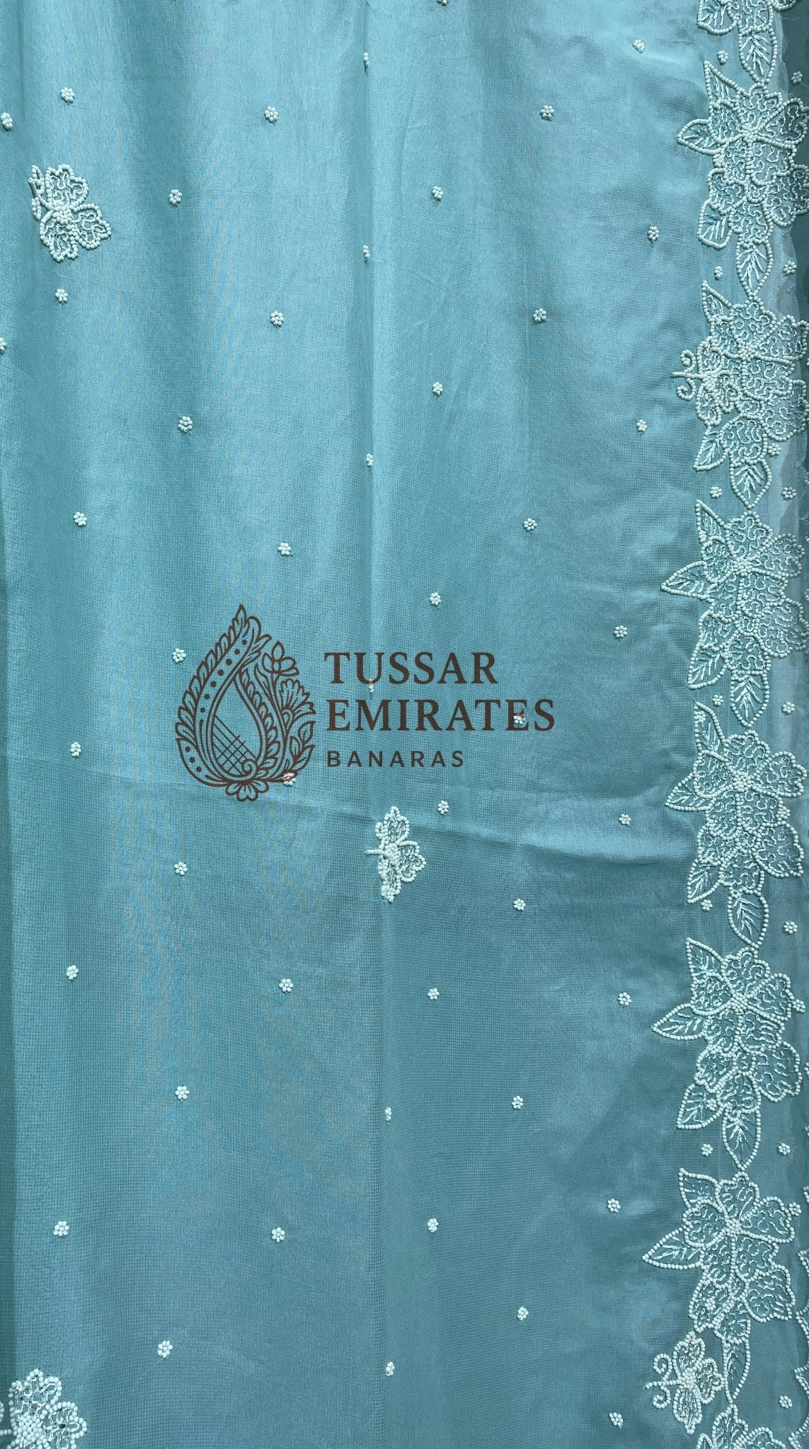 Pure Georgette Handloom Banarasi Saree - handwork motifs - Tussar Emirates