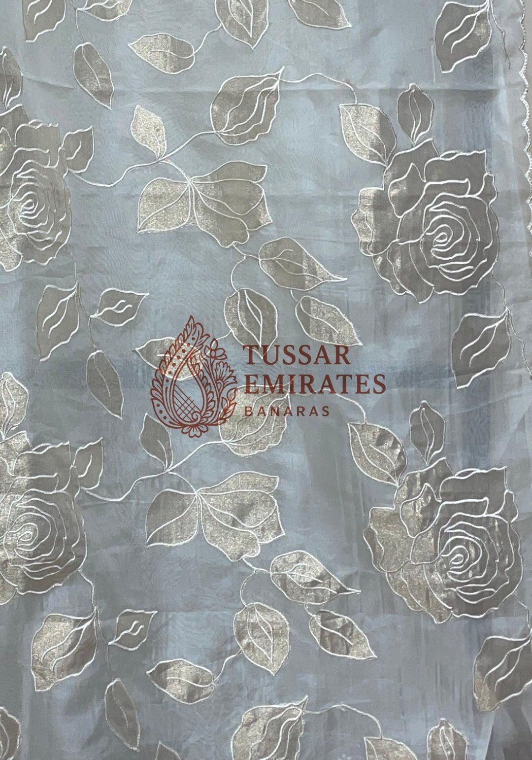 Pure Kora Organza Banarasi Saree - Chikankari all over - Tussar Emirates