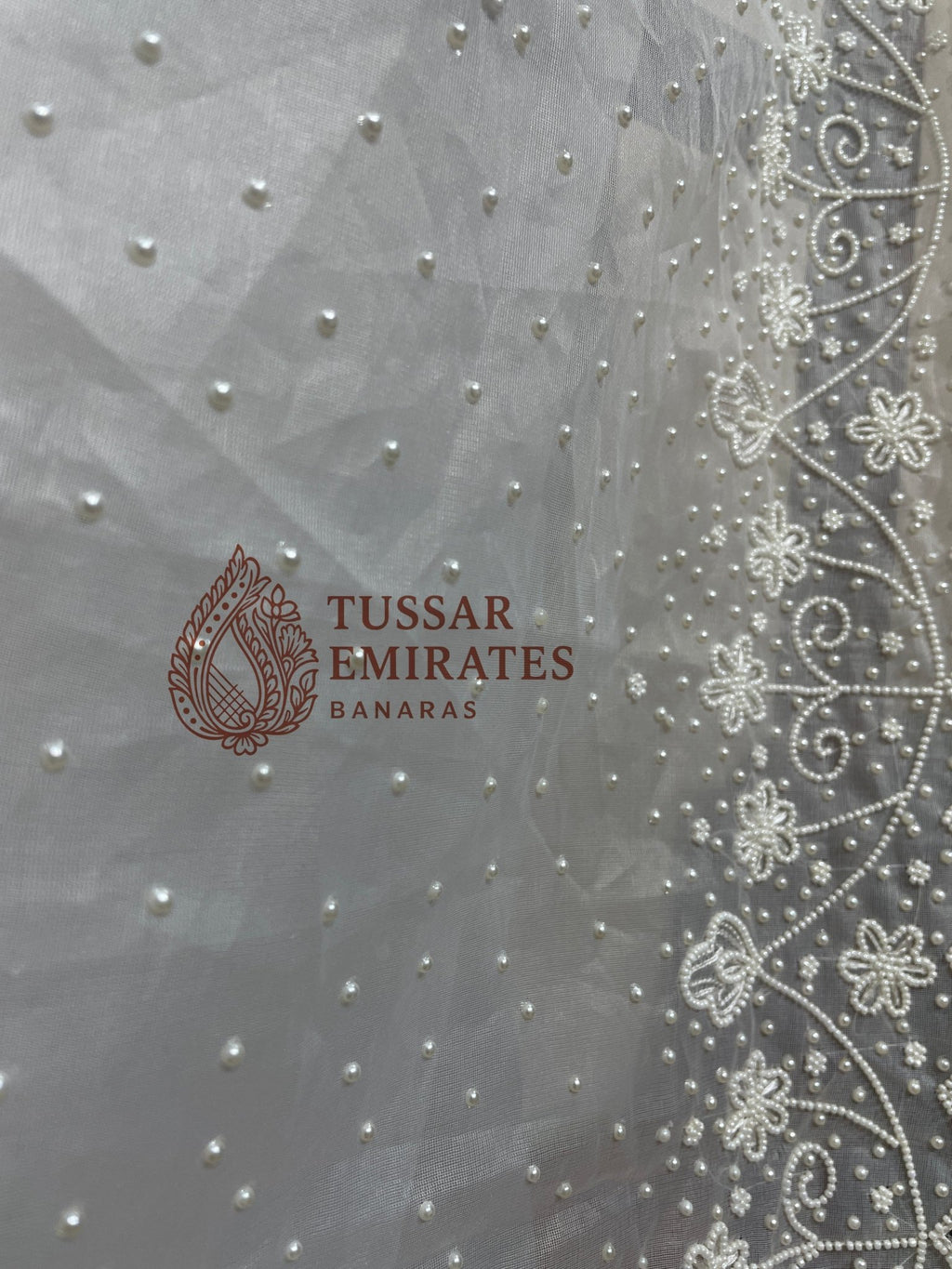 Pure Organza Silk Handloom Banarasi Saree - handwork motifs - Tussar Emirates