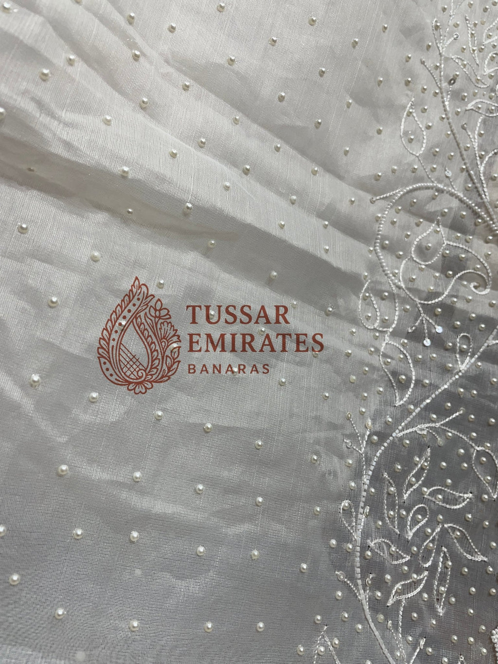 Pure Organza Silk Handloom Banarasi Saree - handwork motifs - Tussar Emirates