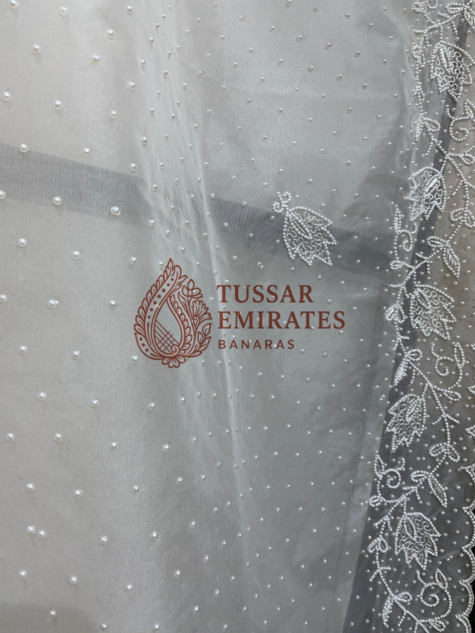 Pure Organza Silk Handloom Banarasi Saree - handwork motifs - Tussar Emirates