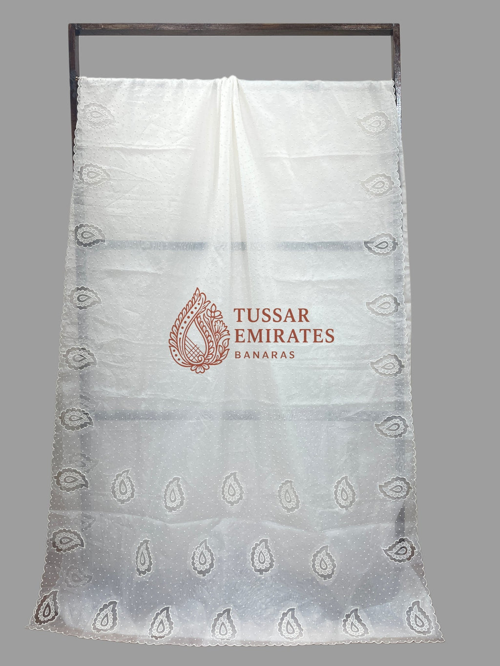 Pure Organza Silk Handloom Banarasi Saree - handwork motifs with applique work - Tussar Emirates