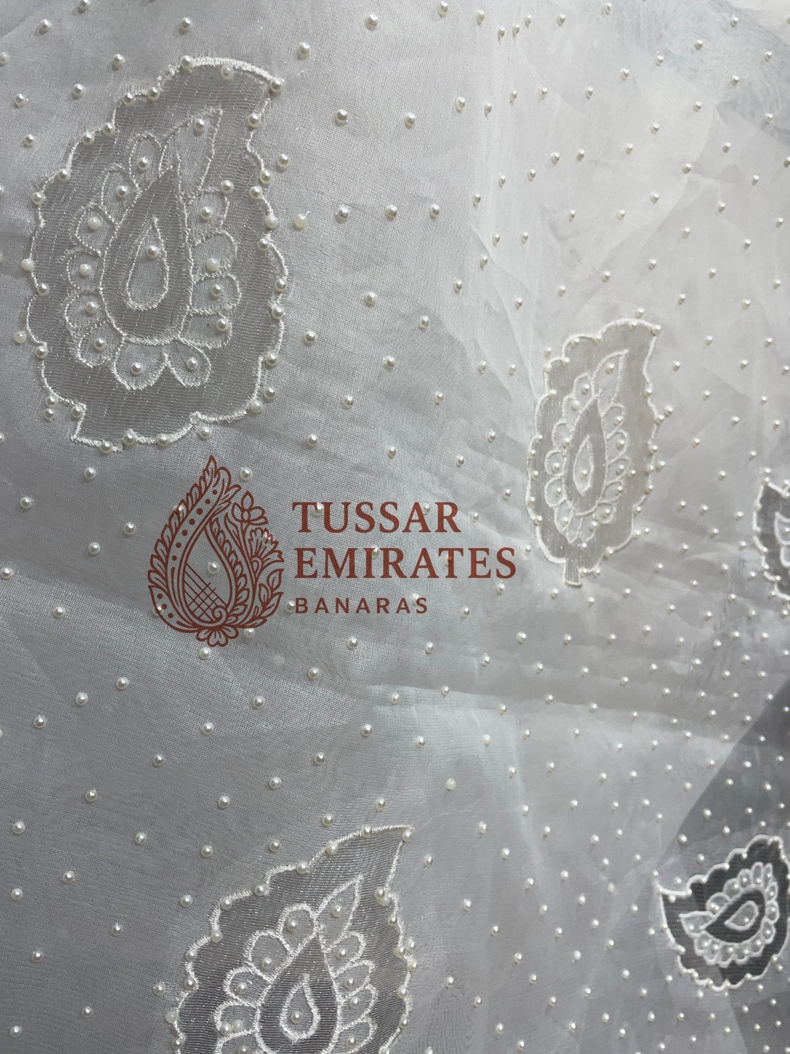 Pure Organza Silk Handloom Banarasi Saree - handwork motifs with applique work - Tussar Emirates