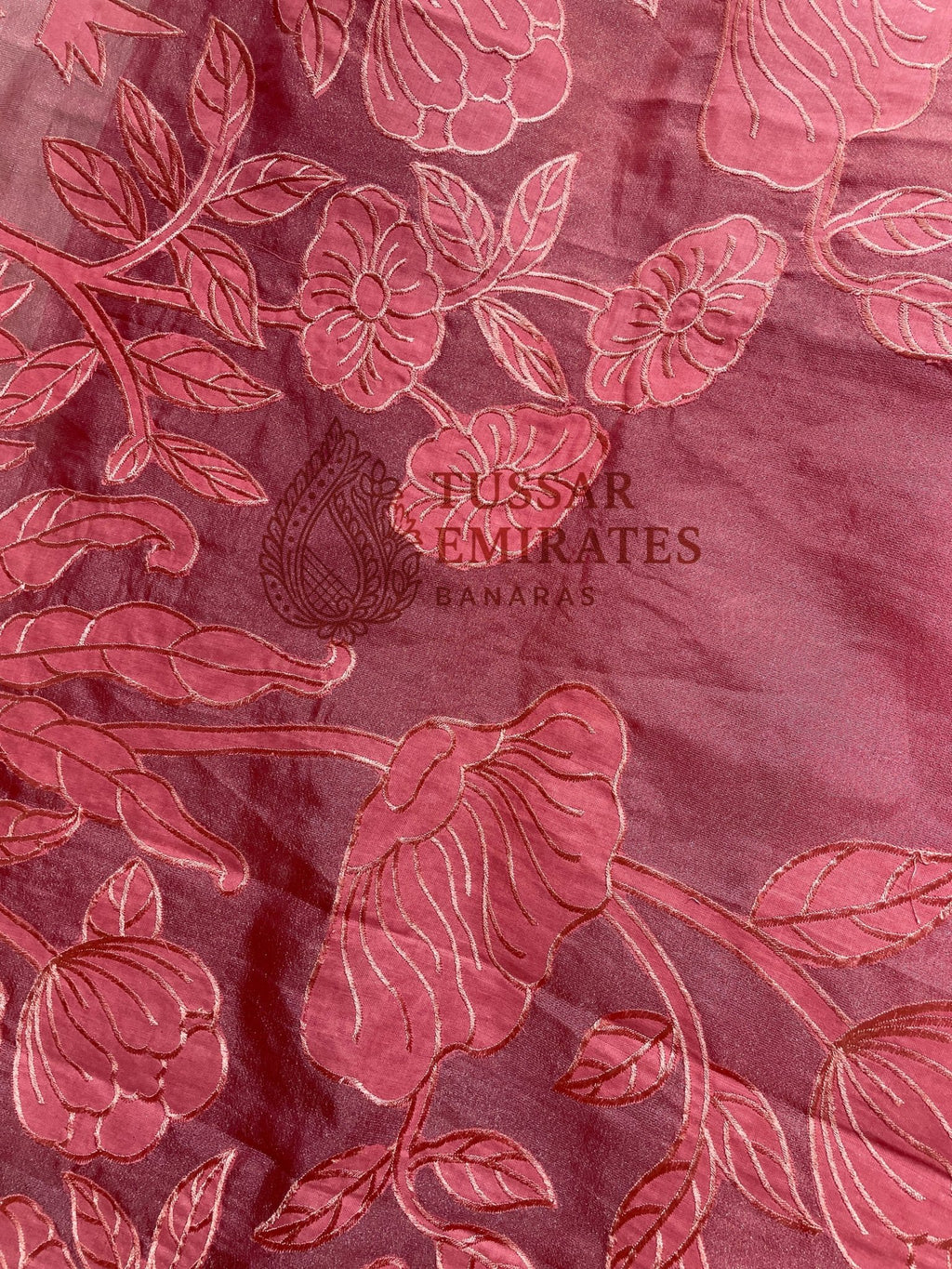 Pure Tissue Silk Banarasi Saree - Chikankari all over - Tussar Emirates