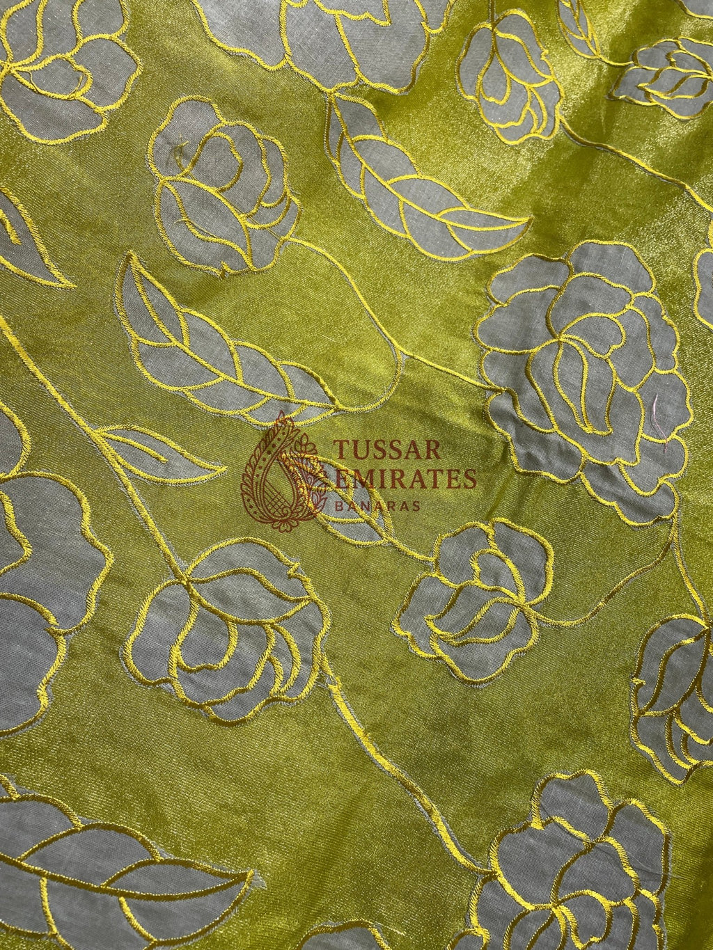 Pure Tissue Silk Banarasi Saree - Chikankari all over - Tussar Emirates