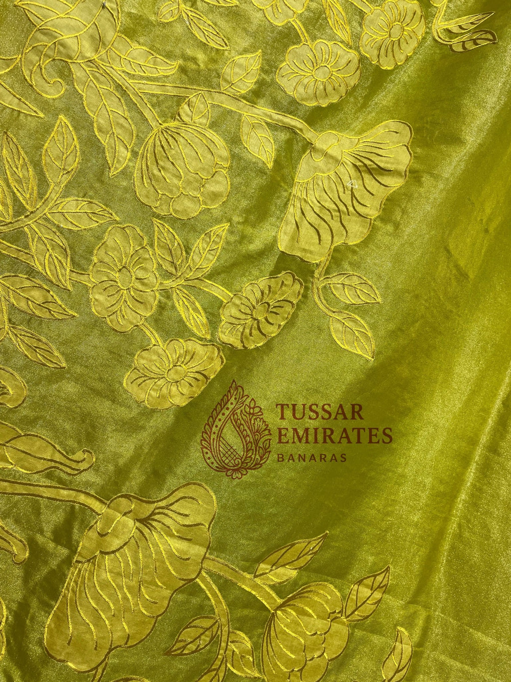 Pure Tissue Silk Banarasi Saree - Chikankari all over - Tussar Emirates